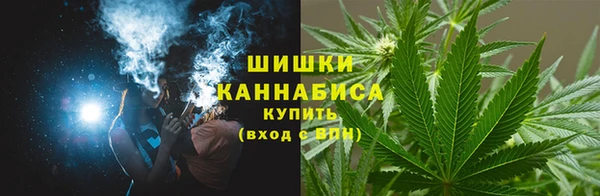 ECSTASY Майский