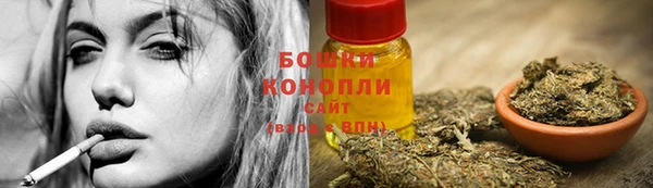a pvp Магас