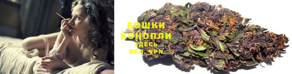 ECSTASY Майский