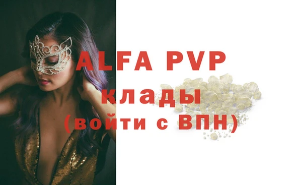 a pvp Магас