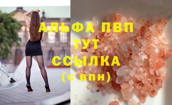 ECSTASY Майский