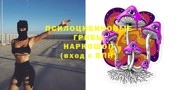 ECSTASY Майский