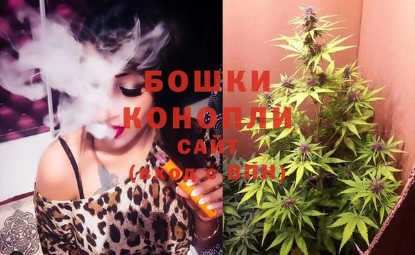 ECSTASY Майский