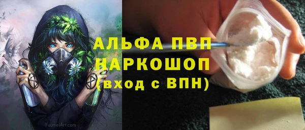 a pvp Магас