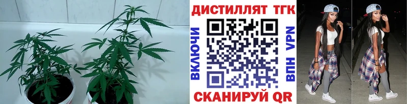 Купить  Чехов  ТГК вейп с тгк 