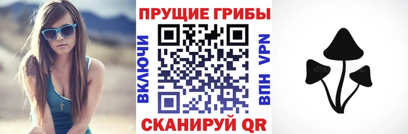 Купить закладки  Чехов  Галлюциногенные грибы Psilocybe 